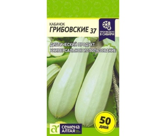 kabachki-gribovskie-semena-altaya